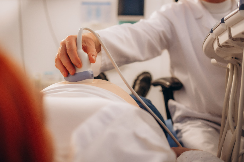 Prenatal Ultrasound examination of the fetus